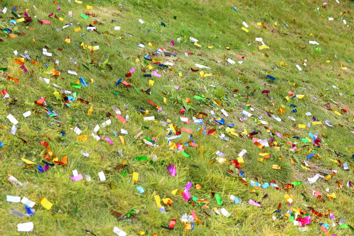 Březňák 2014_047