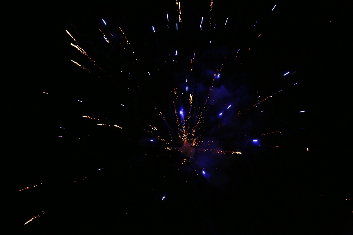 Březňák 2014_130